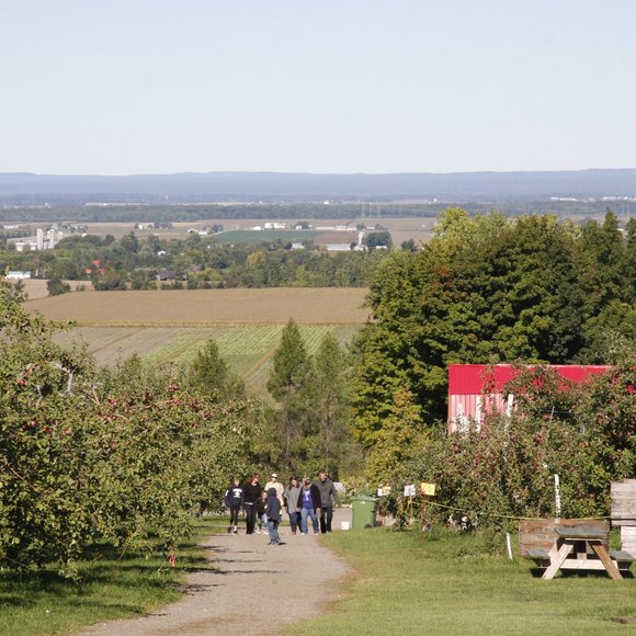 Meet your Posher, Chantal - Picture 1 of 1